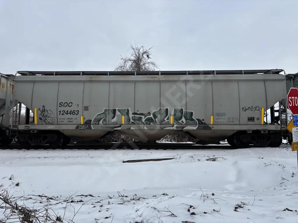 SOO124463 - NORTH-AMERICA