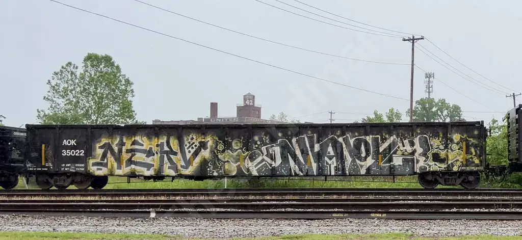 AOK35022 - NORTH-AMERICA