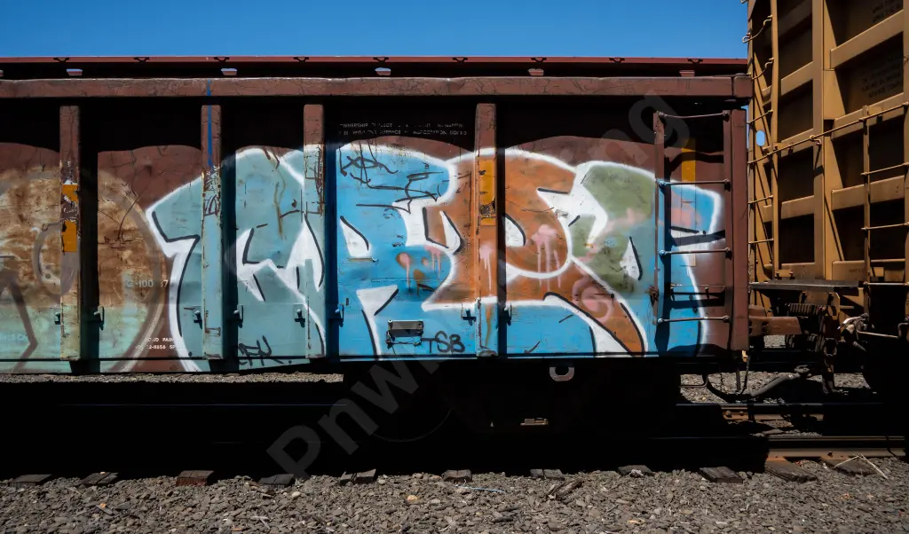 SP365106 - NORTH-AMERICA