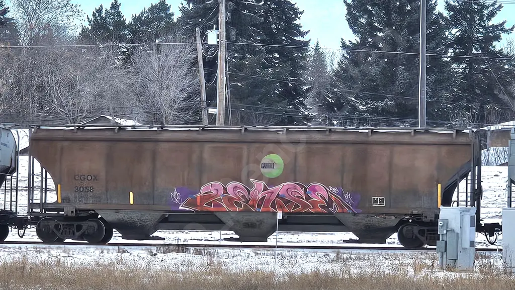 CGOX3058 - NORTH-AMERICA