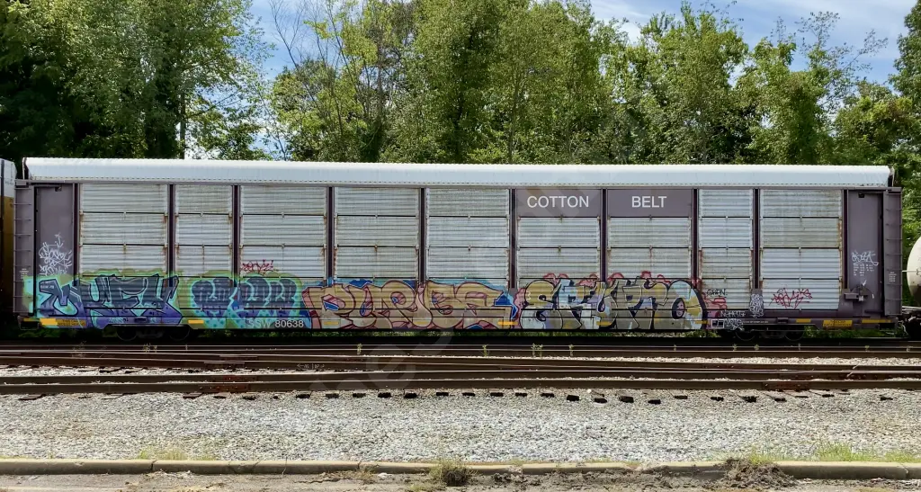 SSW80638 - NORTH-AMERICA