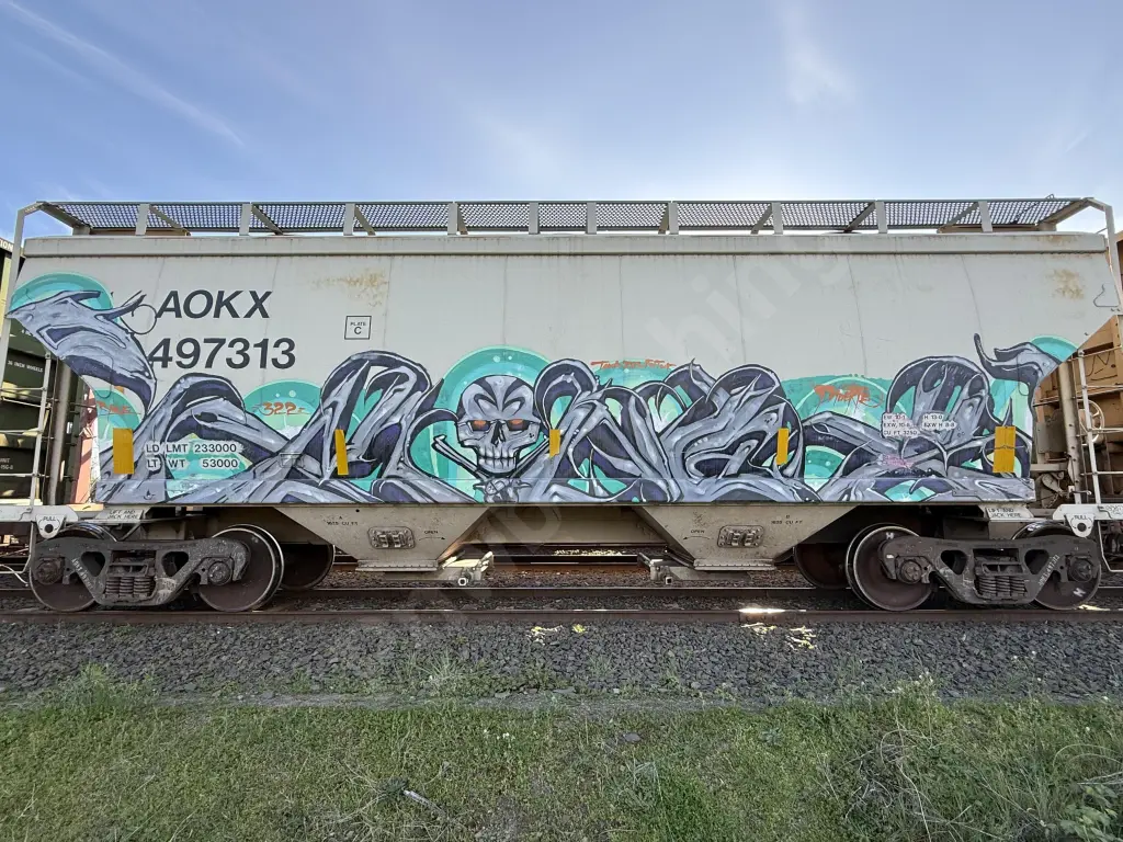 AOKX497313 - NORTH-AMERICA