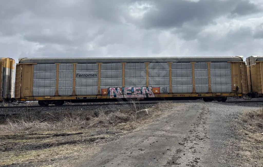 TTGX991513 - NORTH-AMERICA