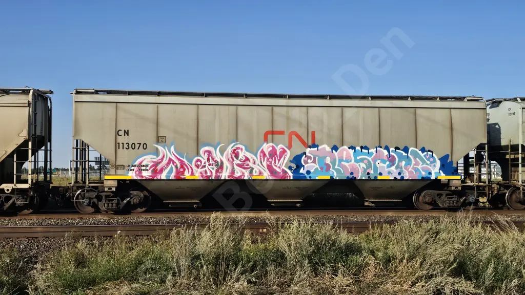 CN113070 - NORTH-AMERICA