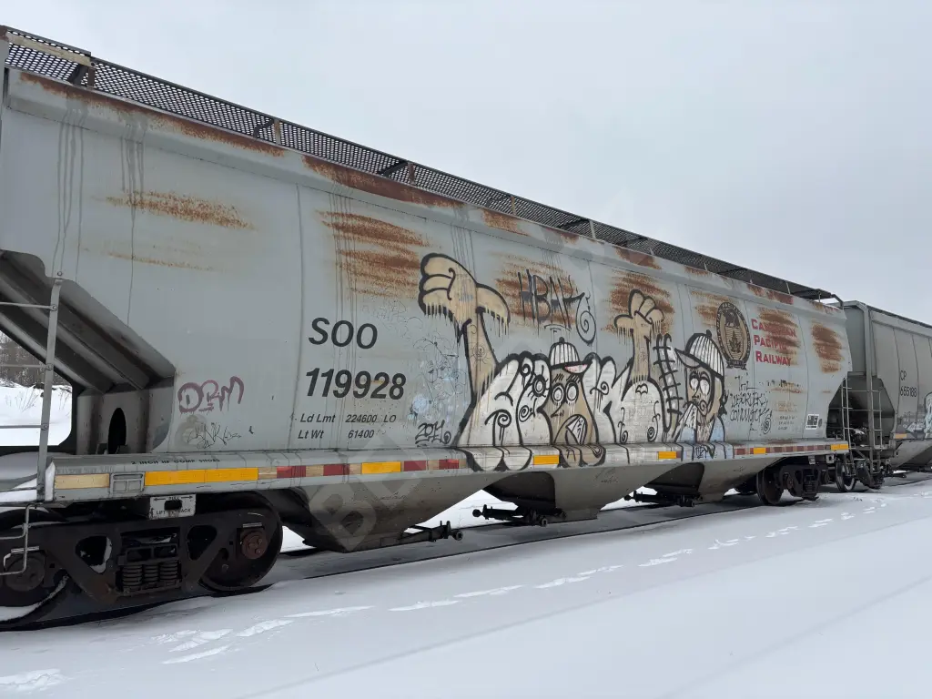 SOO119928 - NORTH-AMERICA