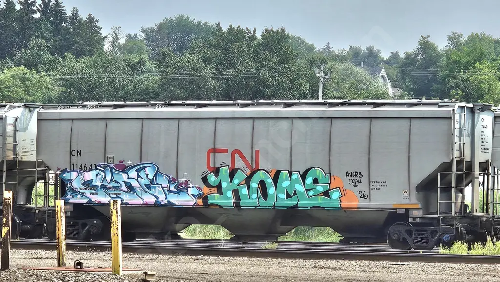 CN114641 - NORTH-AMERICA
