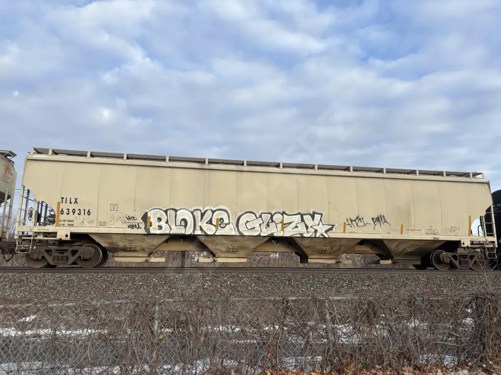 TILX639316 - NORTH-AMERICA
