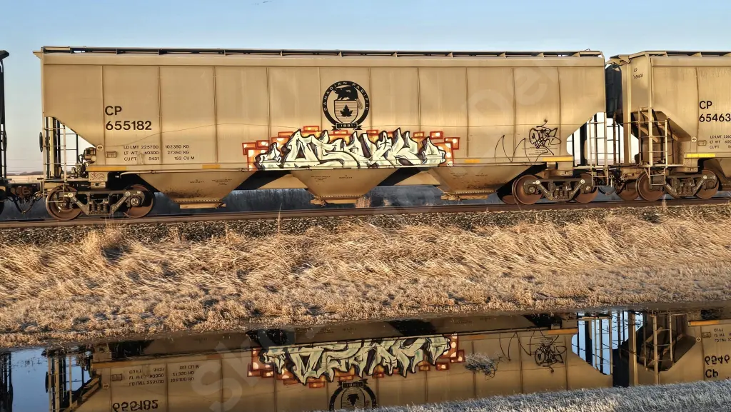 CP655182 - NORTH-AMERICA
