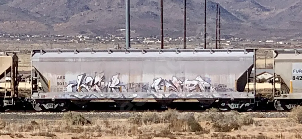 AEX5011 - NORTH-AMERICA
