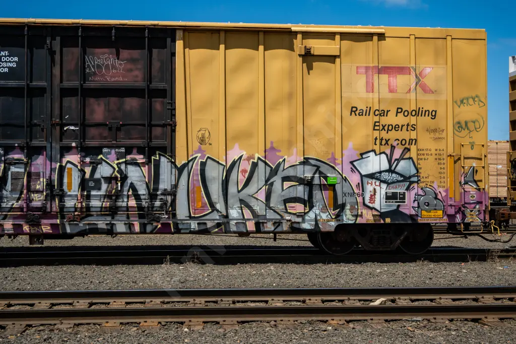 TBOX665556 - NORTH-AMERICA
