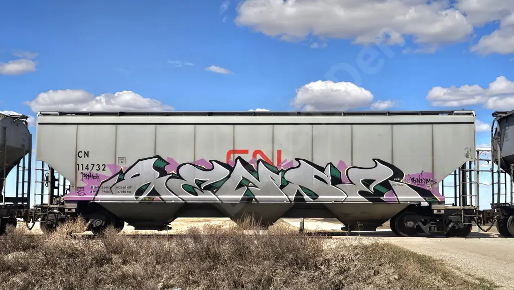 CN114732 - NORTH-AMERICA