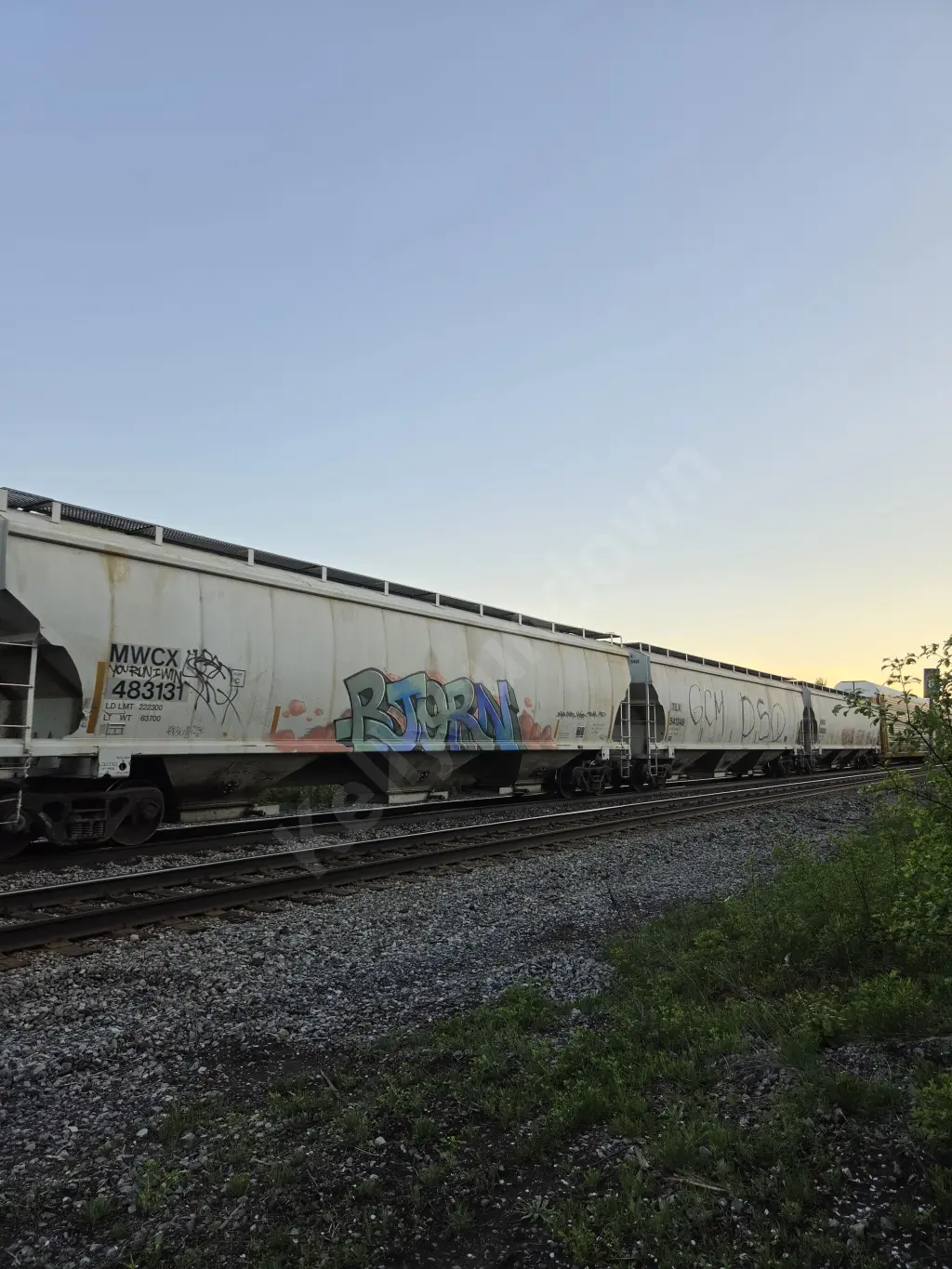 MWCX483131 - CANADA