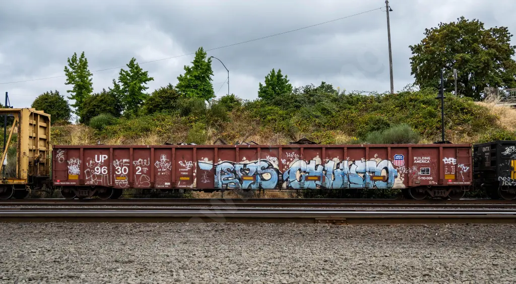 UP96302 - NORTH-AMERICA