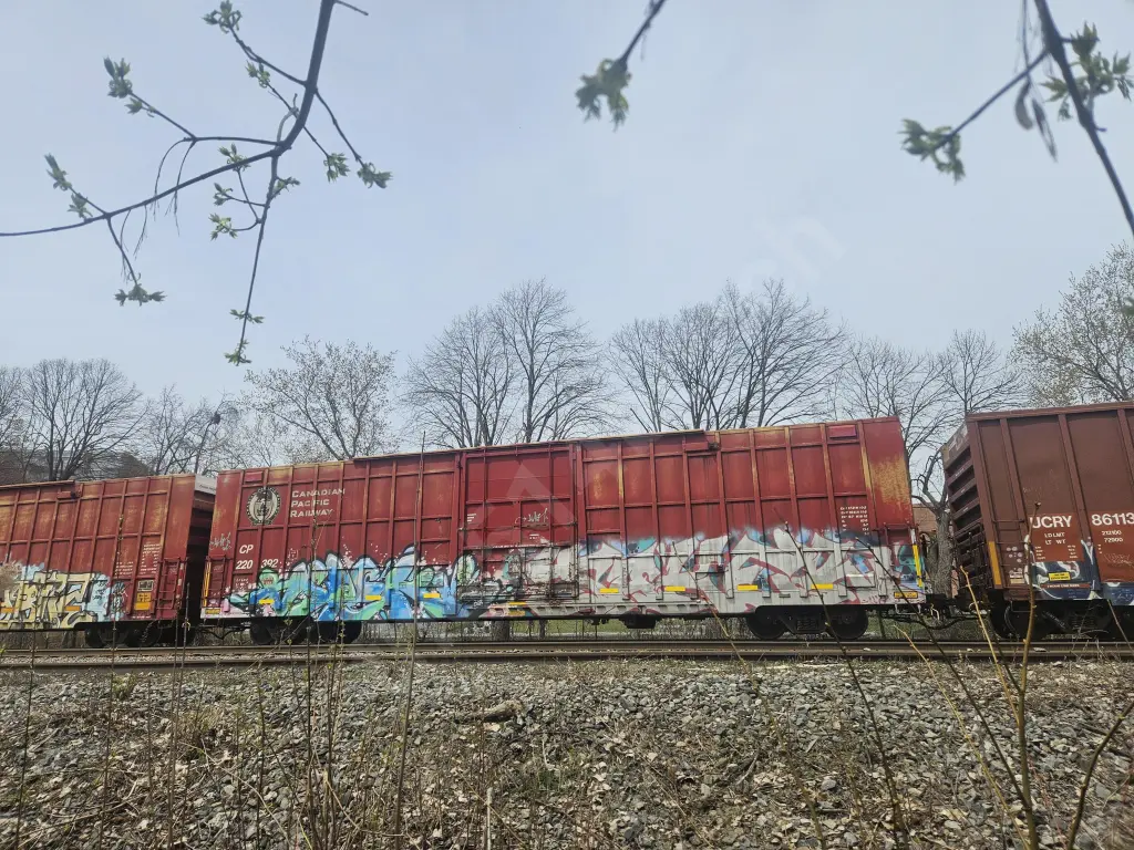 CP220392 - NORTH-AMERICA