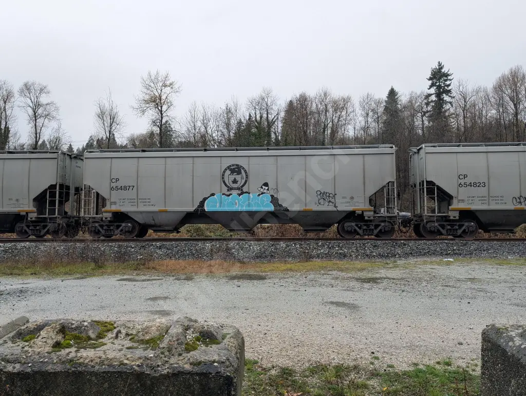 CP654877 - NORTH-AMERICA