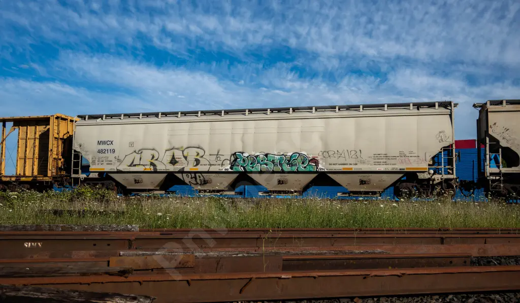 MWCX482119 - NORTH-AMERICA