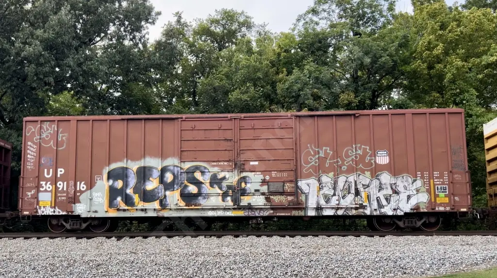 UP369116 - NORTH-AMERICA