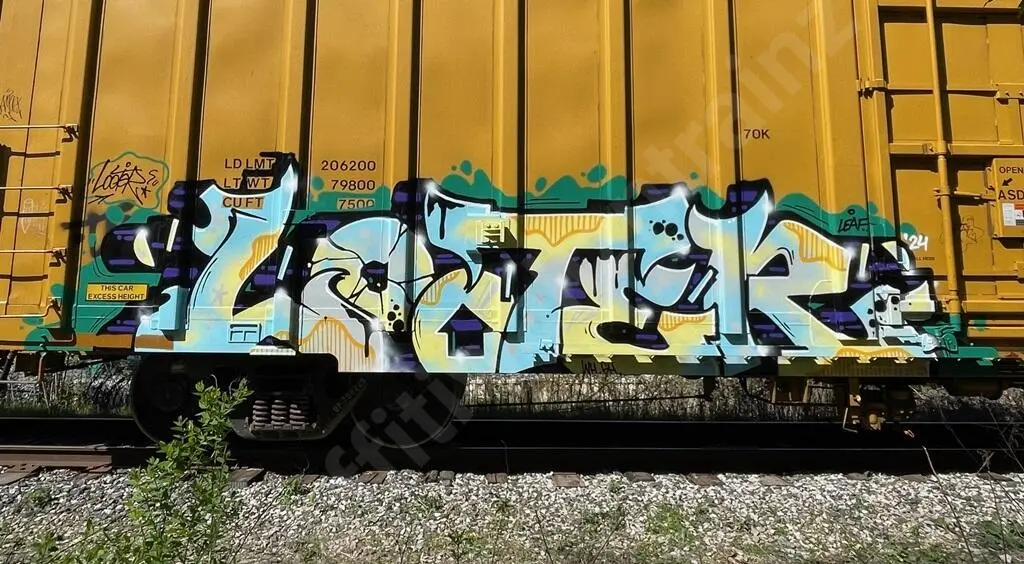 UP700229 - NORTH-AMERICA