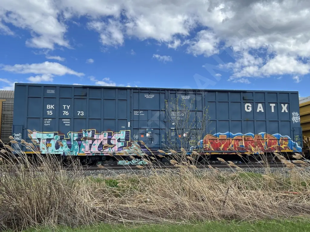 BKTY157673 - NORTH-AMERICA