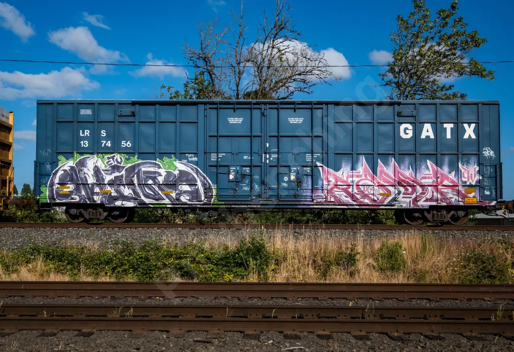LRS137456 - NORTH-AMERICA