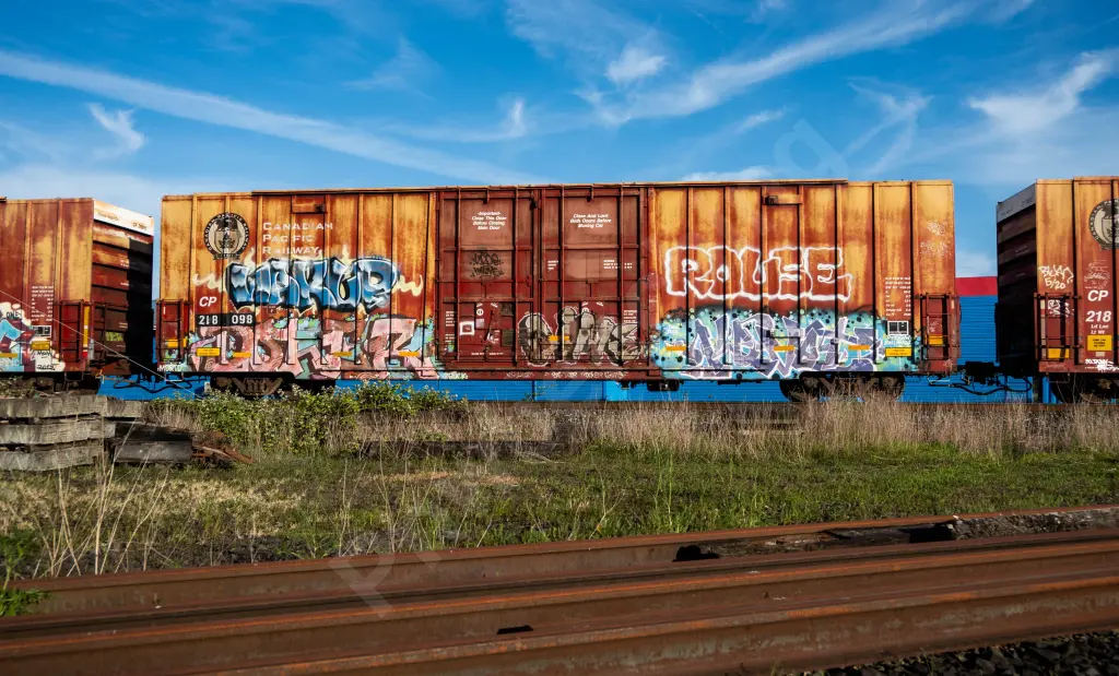 CP218098 - NORTH-AMERICA