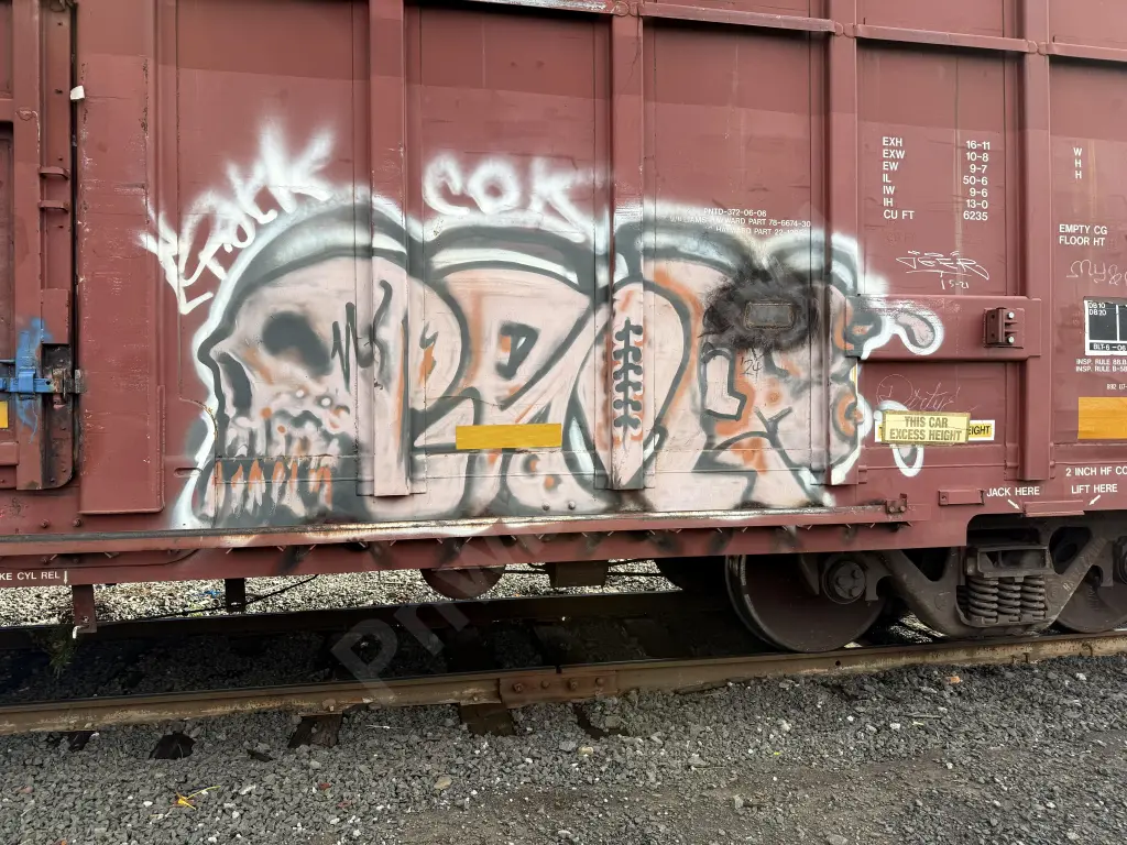 BNSF729101 - NORTH-AMERICA