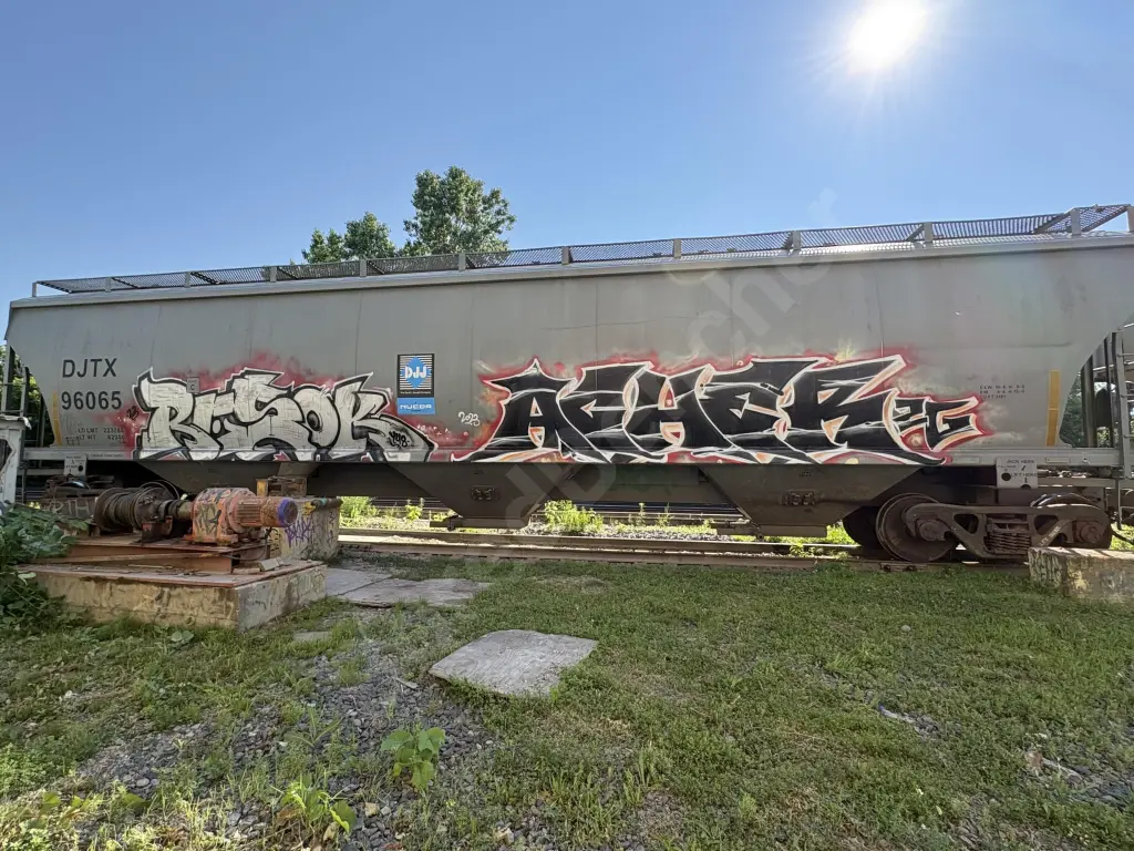 DJTX96065 - NORTH-AMERICA
