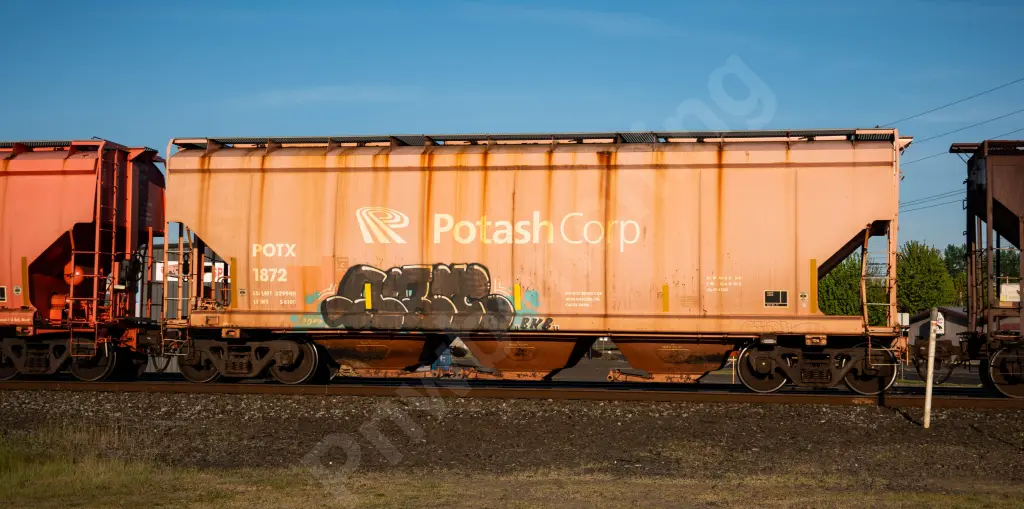 Train photo