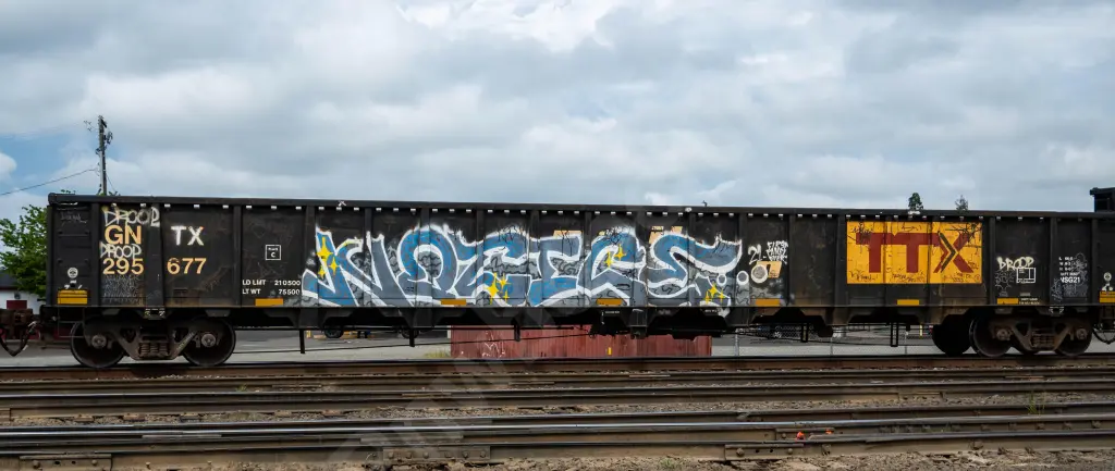 GNTX295677 - NORTH-AMERICA