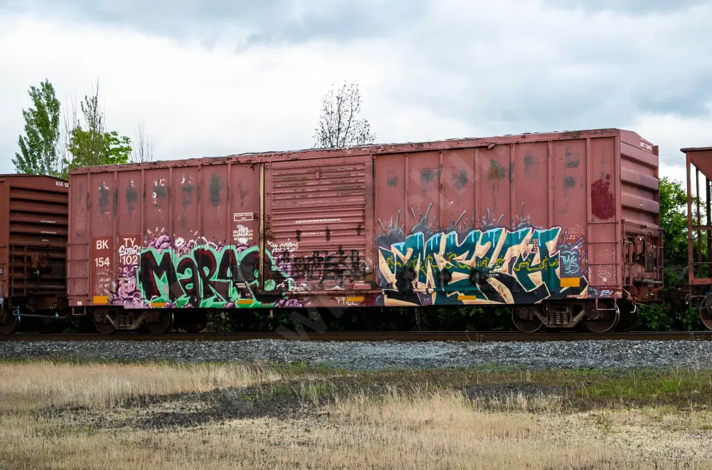 BKTY154102 - NORTH-AMERICA