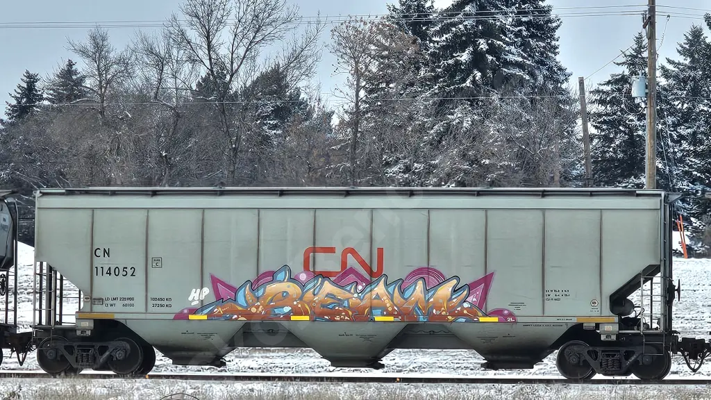 CN114052 - NORTH-AMERICA