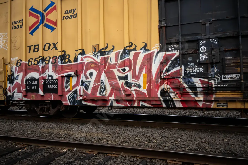 TBOX665938 - NORTH-AMERICA