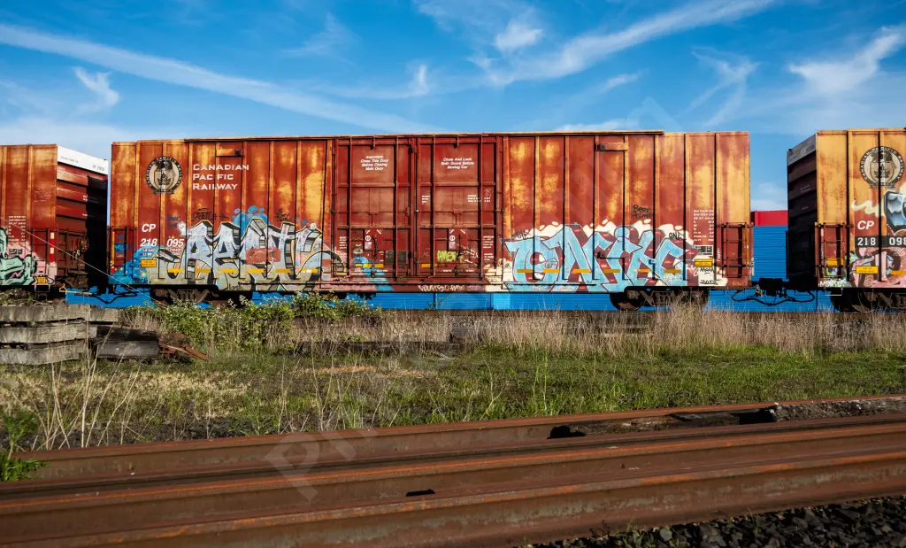 CP218095 - NORTH-AMERICA