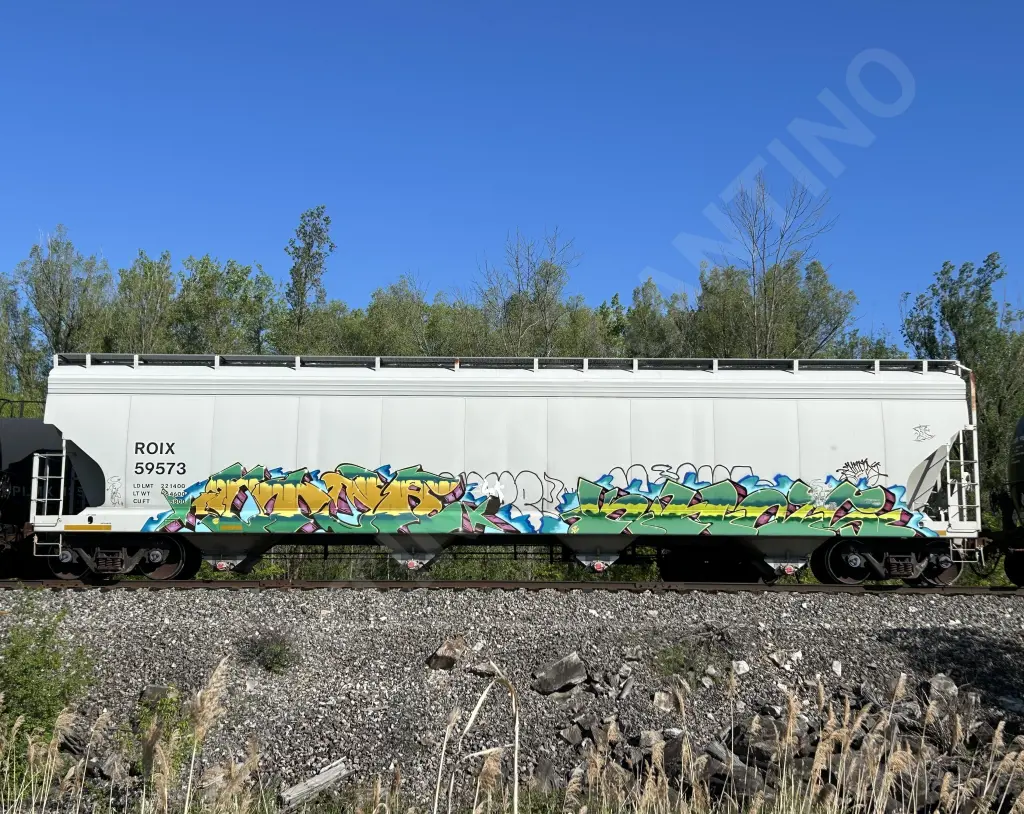 ROIX59573 - NORTH-AMERICA