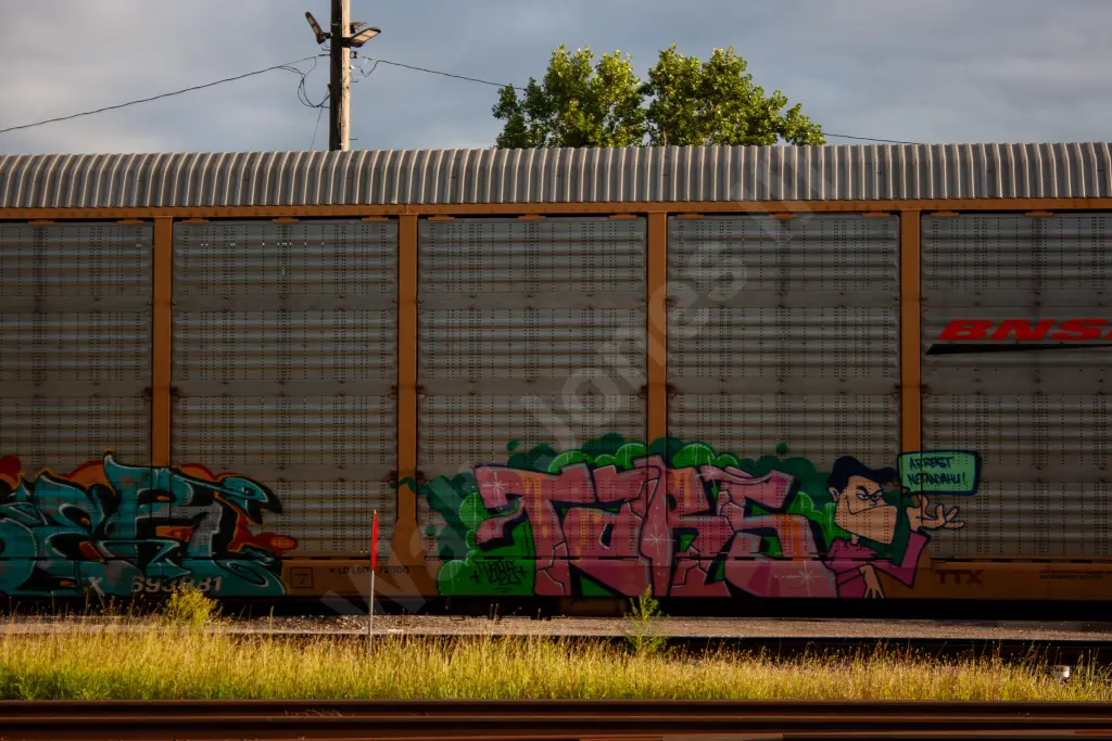 TTX693081 - NORTH-AMERICA