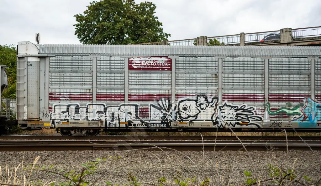 TTGX705692 - NORTH-AMERICA