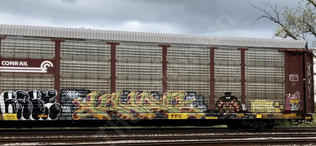 TTGX981026 - NORTH-AMERICA