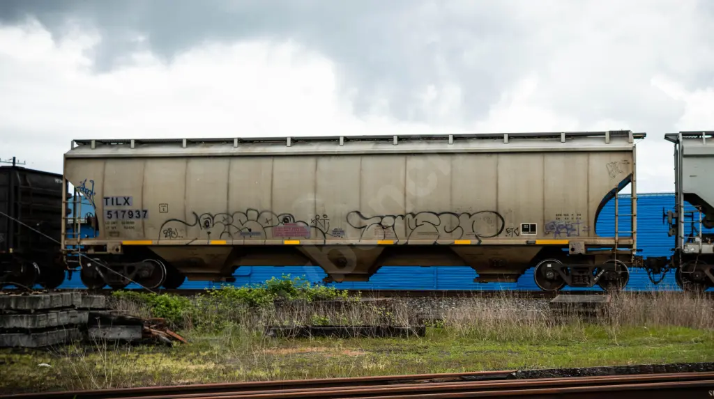 TILX517937 - NORTH-AMERICA