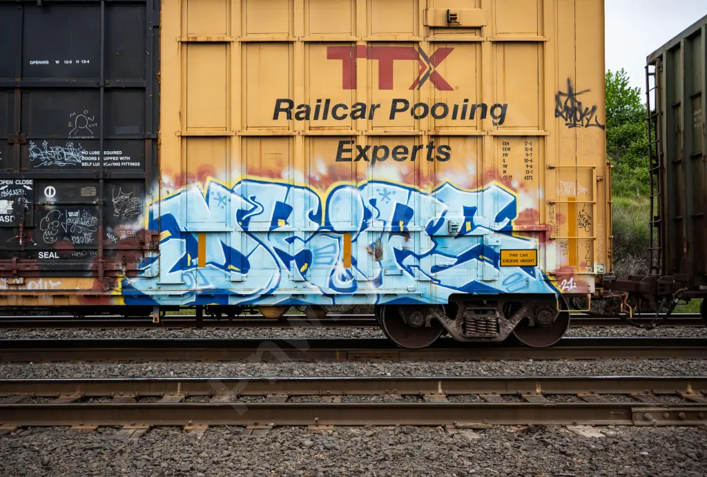 FBOX504645 - NORTH-AMERICA
