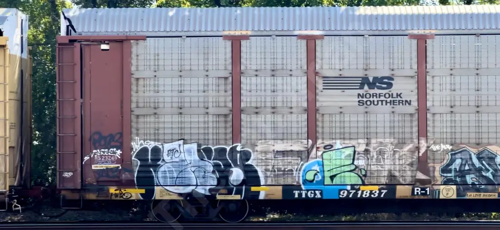 TTGX971837 - NORTH-AMERICA