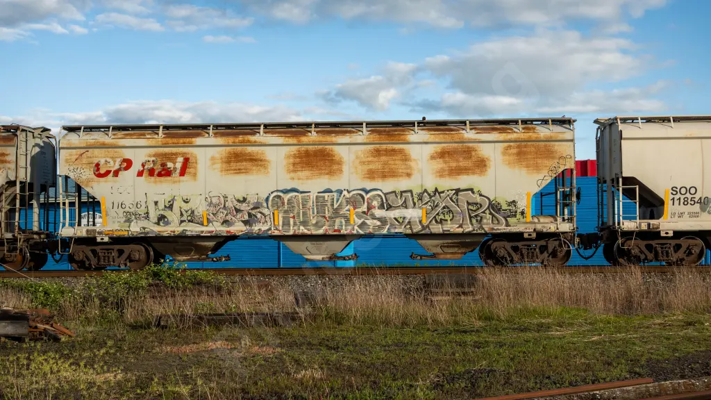 SOO116561 - NORTH-AMERICA