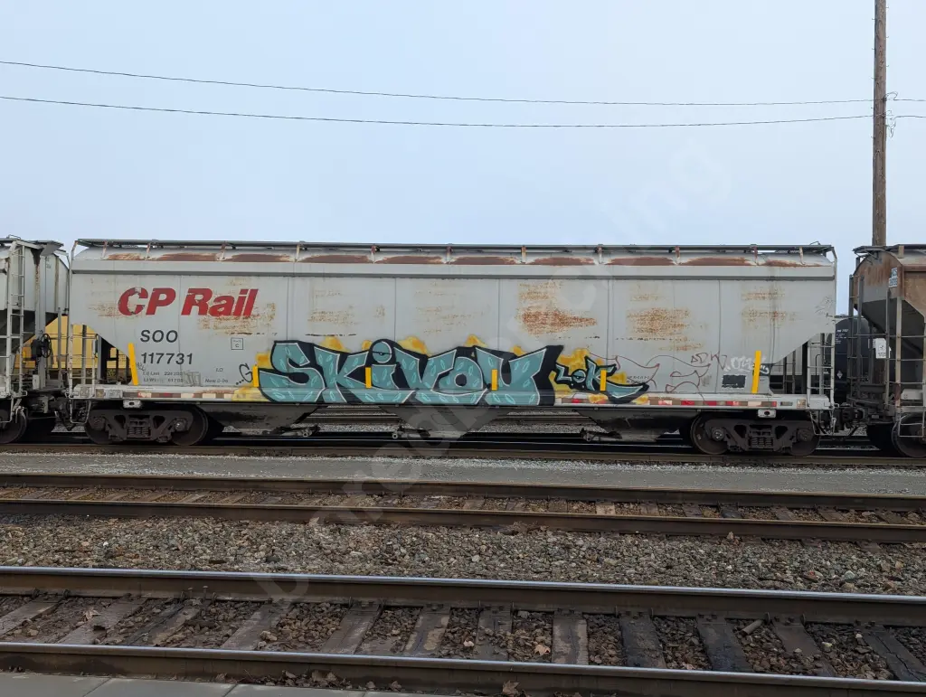 SOO117731 - NORTH-AMERICA