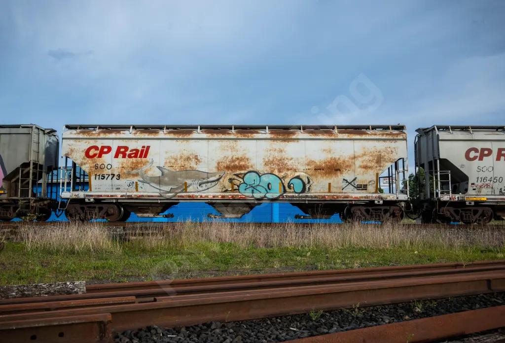 SOO115773 - NORTH-AMERICA