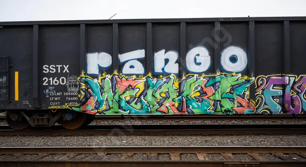 SSTX2160 - NORTH-AMERICA