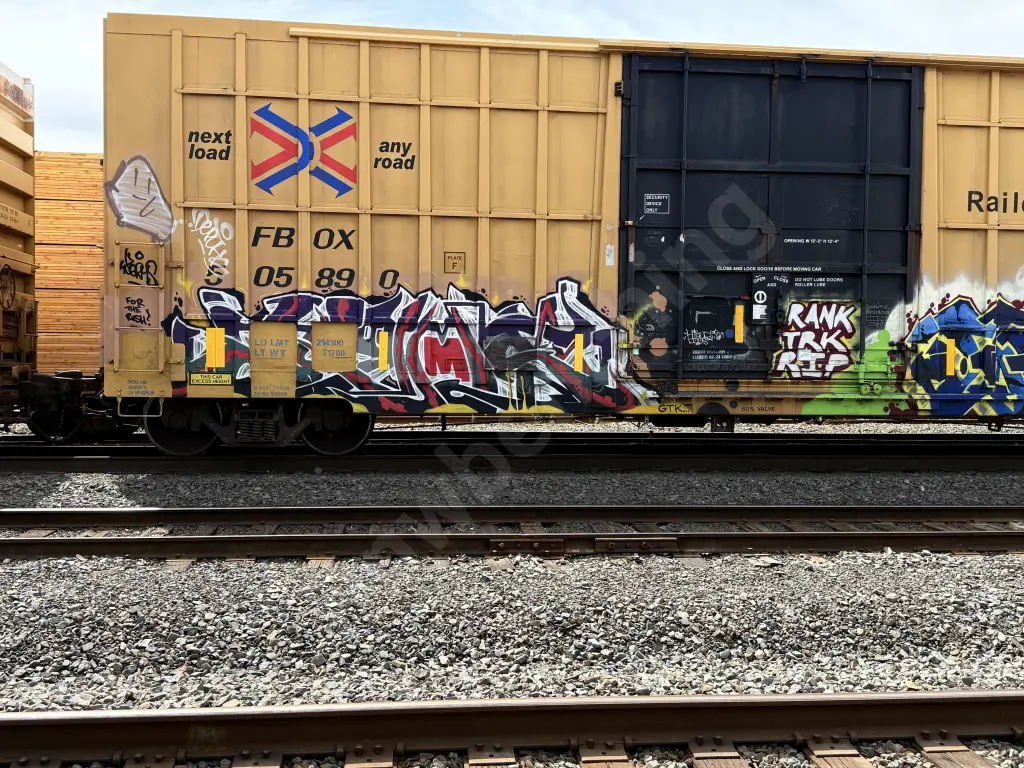 FBOX505890 - NORTH-AMERICA