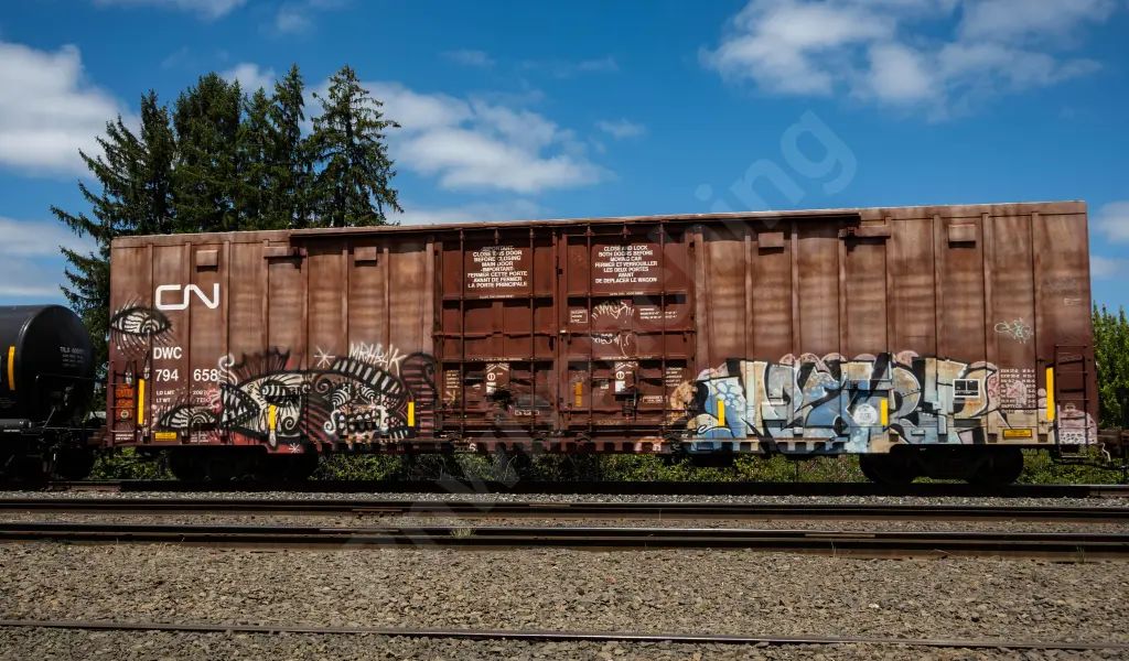 DWC794658 - NORTH-AMERICA