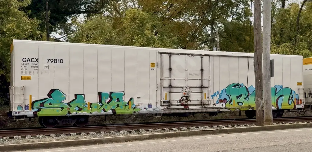 GACX79810 - NORTH-AMERICA
