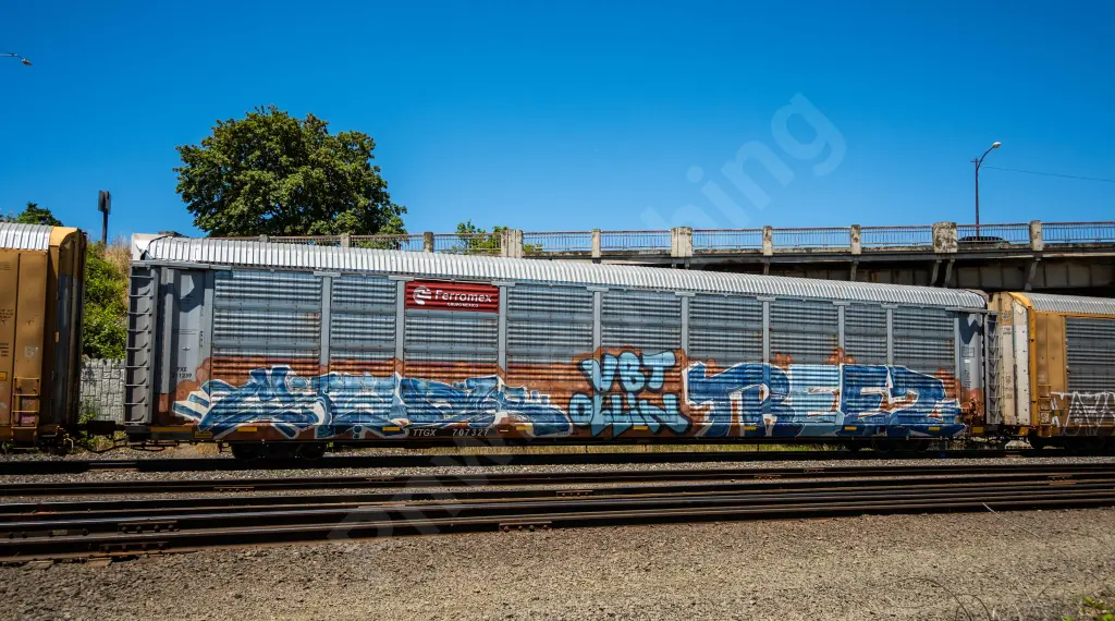 TTGX707327 - NORTH-AMERICA