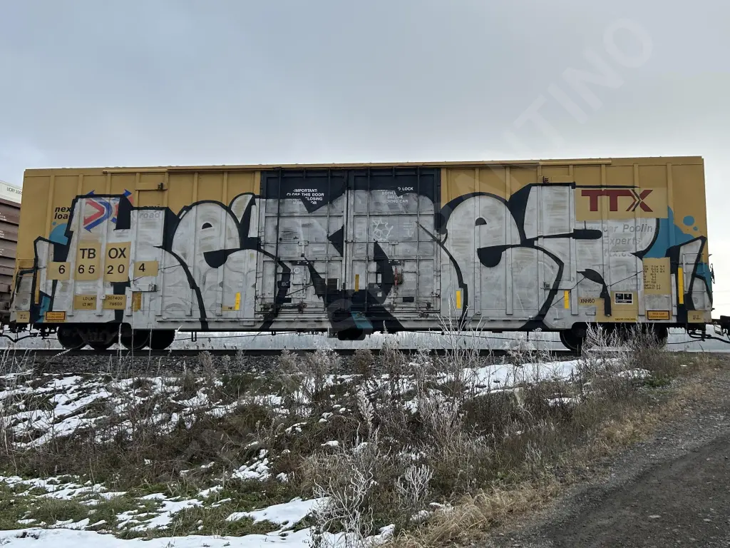 TBOX665204 - NORTH-AMERICA