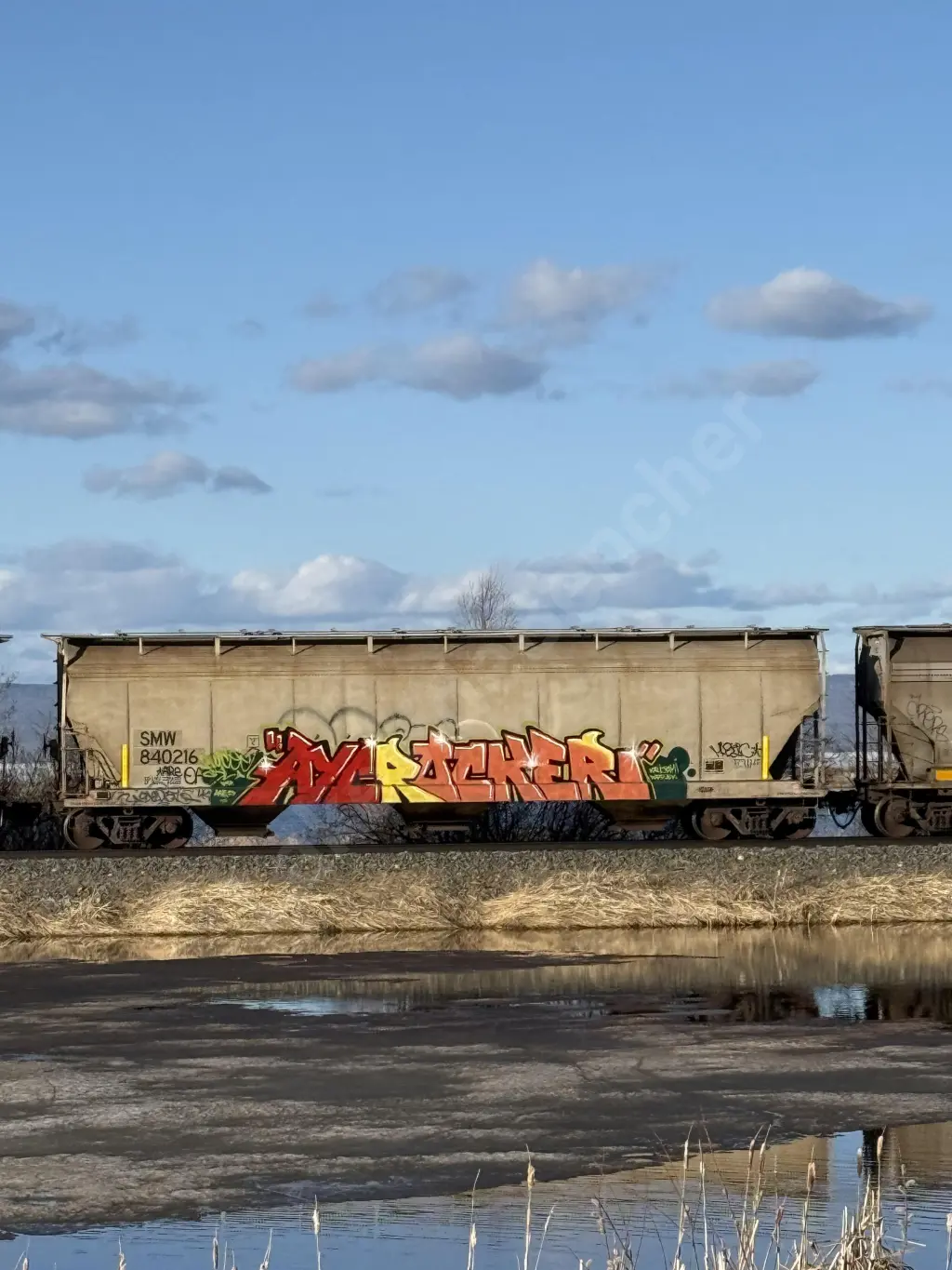 SMW840216 - NORTH-AMERICA